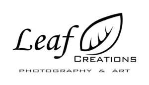 collaborazione con leaf creations