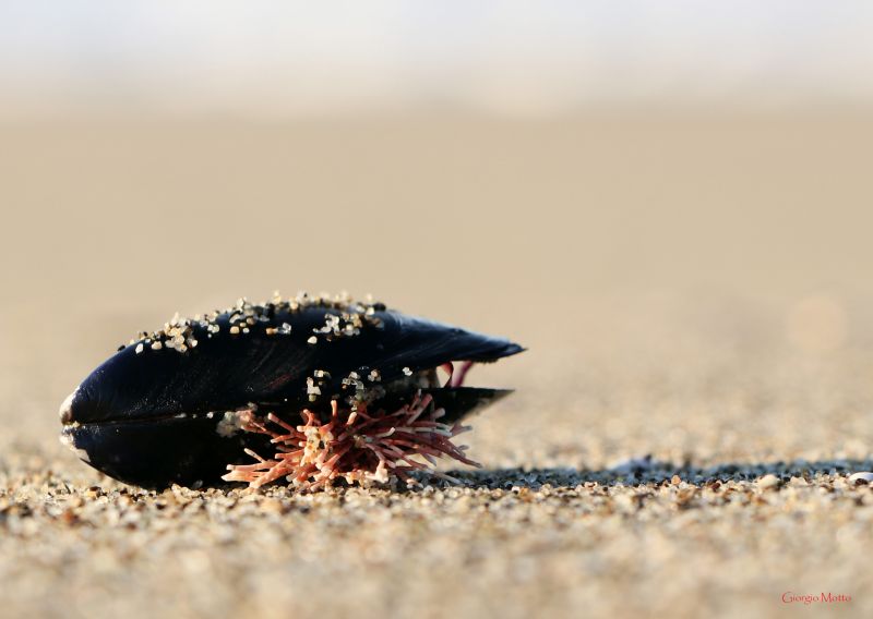 la natura si ricicla senza inquinare