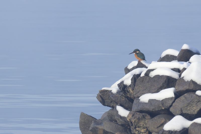 il pescatore e la neve