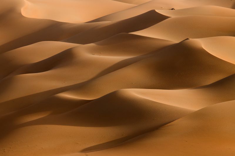 Liwa desert