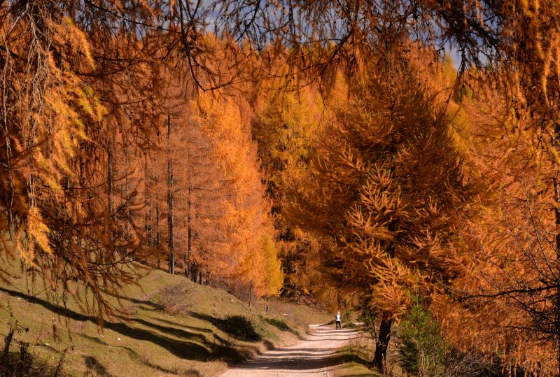 passeggiata autunnale