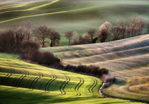 Colline Val D’Orcia