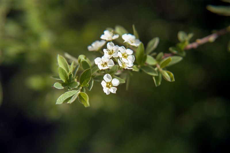 la bellezza che la natura offre