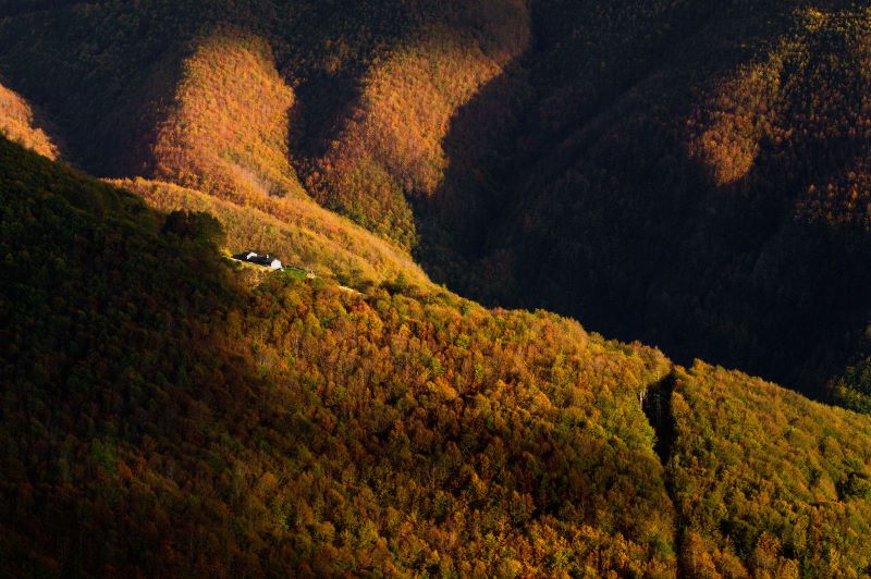 colori d'autunno