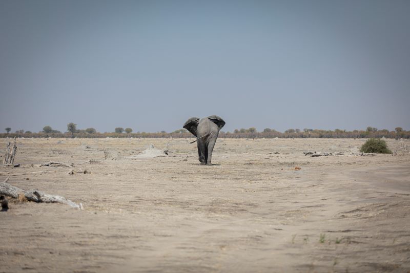 la solitudine del gigante