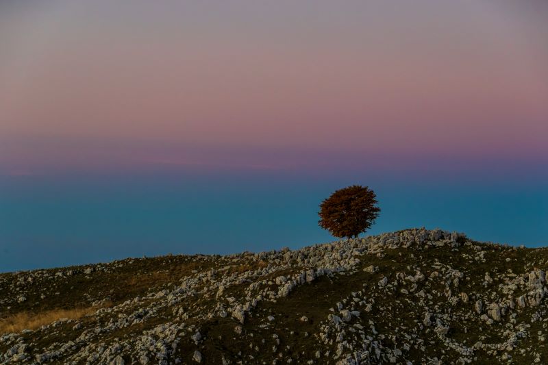 “Il solitario” - alba sul Monte Pizzoc