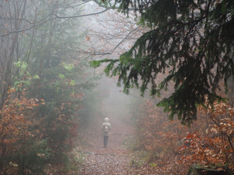 Camminando nella nebbia