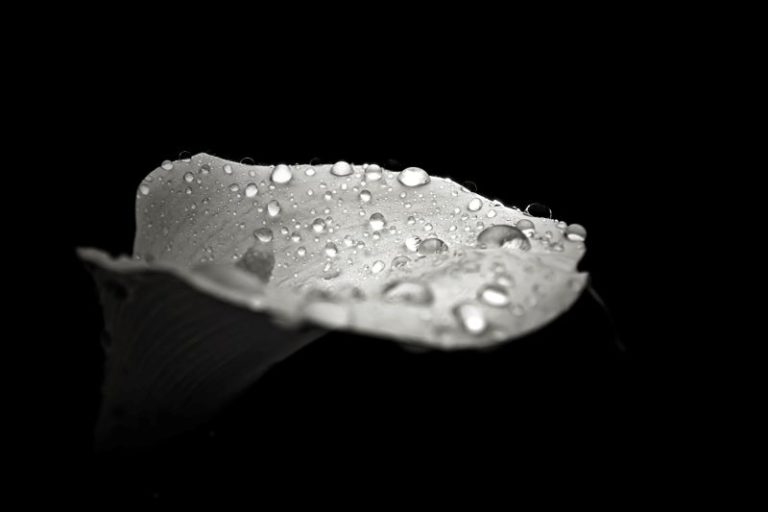 Drops