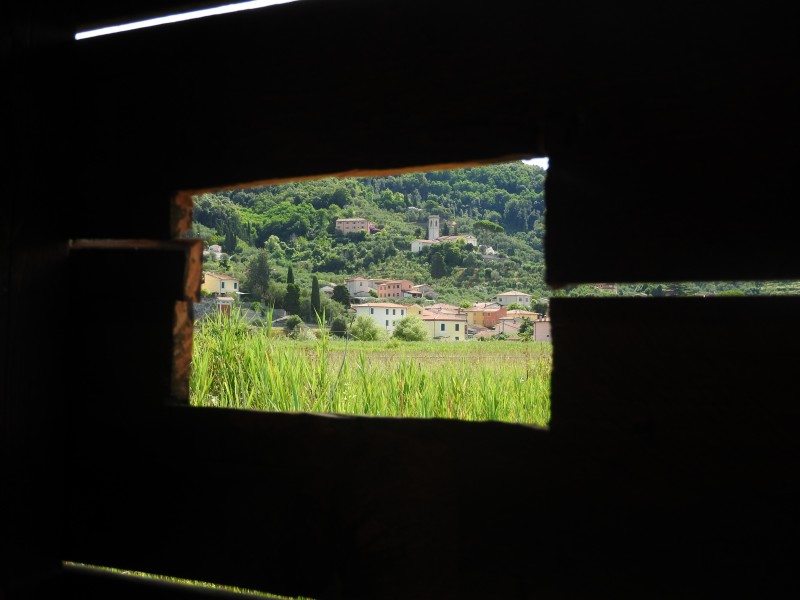 cornice naturale