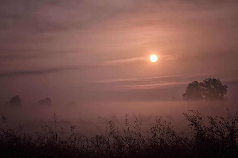 il profumo di un'alba