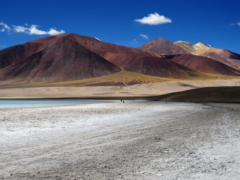 laguna d'altipiano (cile)