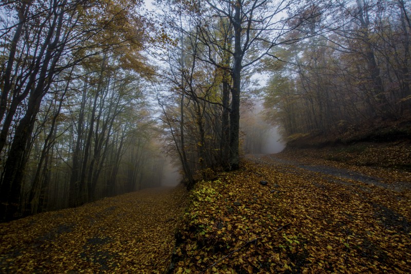 tornante autunnale