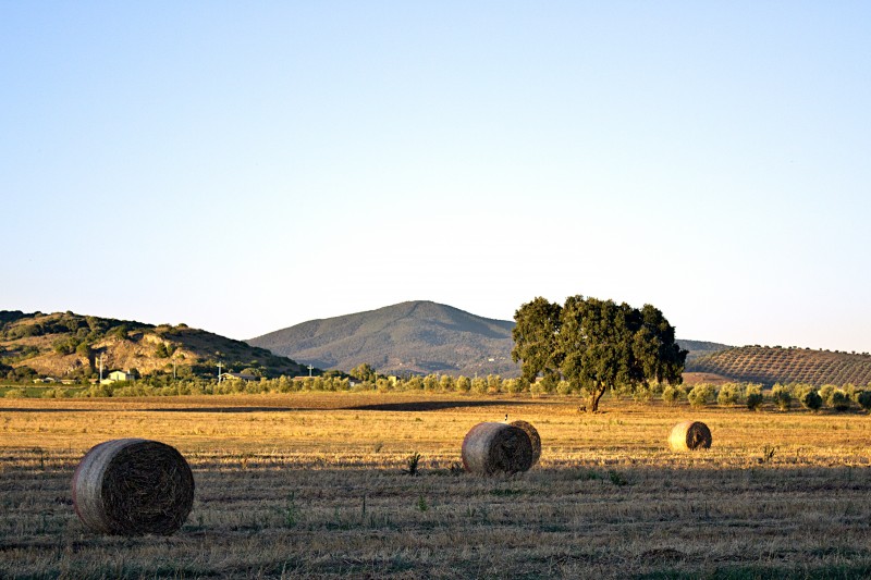 campagna toscana