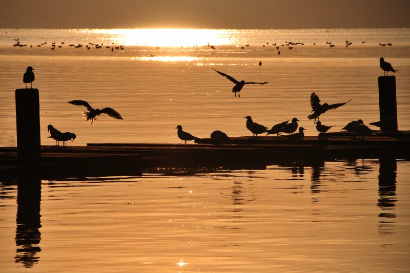 la natura al tramonto