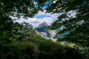 pizzo d'uccello in una cornice naturale (val serenaia