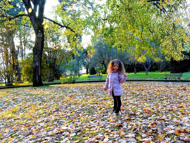 il fascino dell'autunno