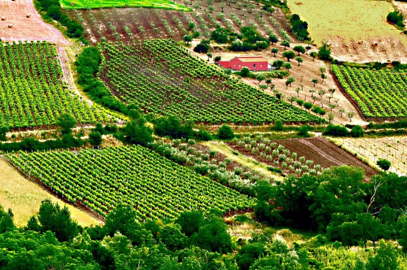 la casetta rossa