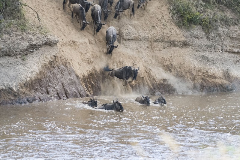 attraversamento di gnu