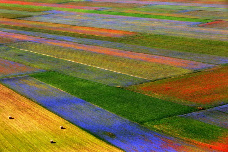 omaggio a castelluccio