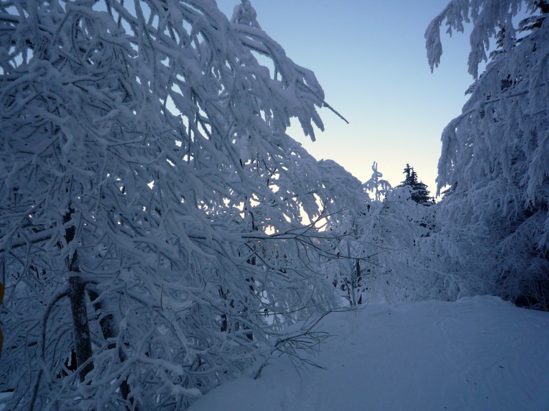 natura in bianco