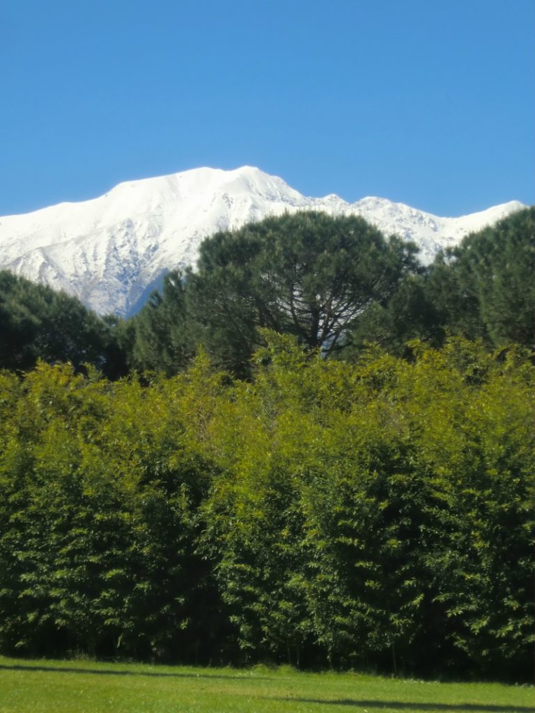 quando la natura scherza a primavera