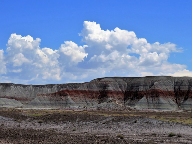 deserto dipinto