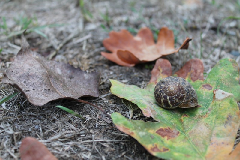 autunno alle porte