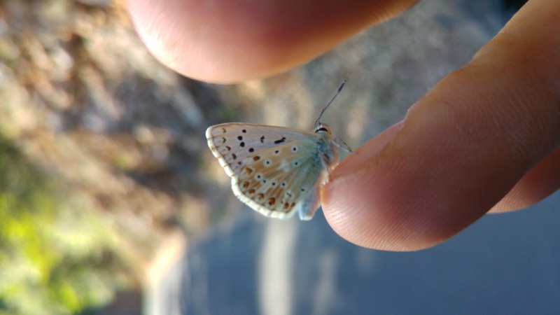 amicizia ritrovata