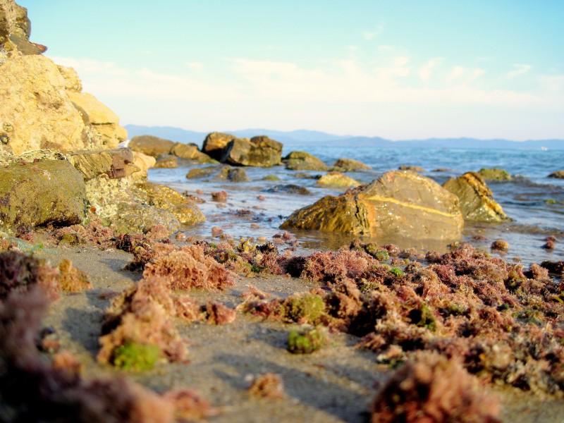 il lungomare del mondo