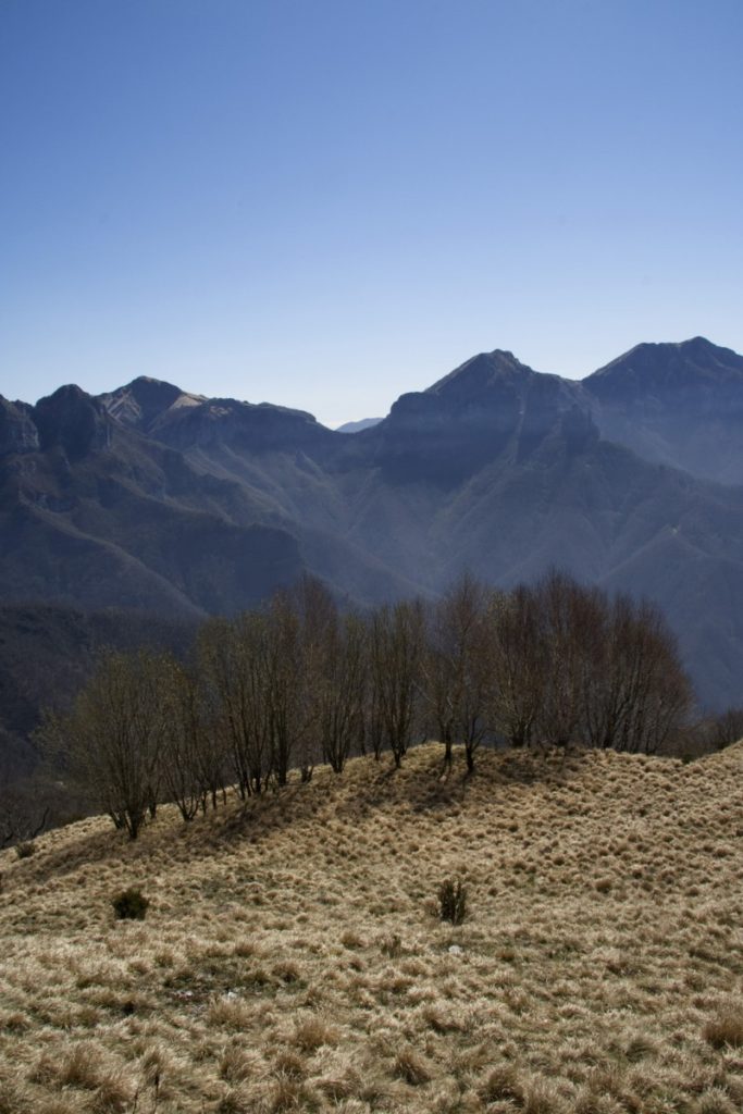 il dolce contrasto della natura