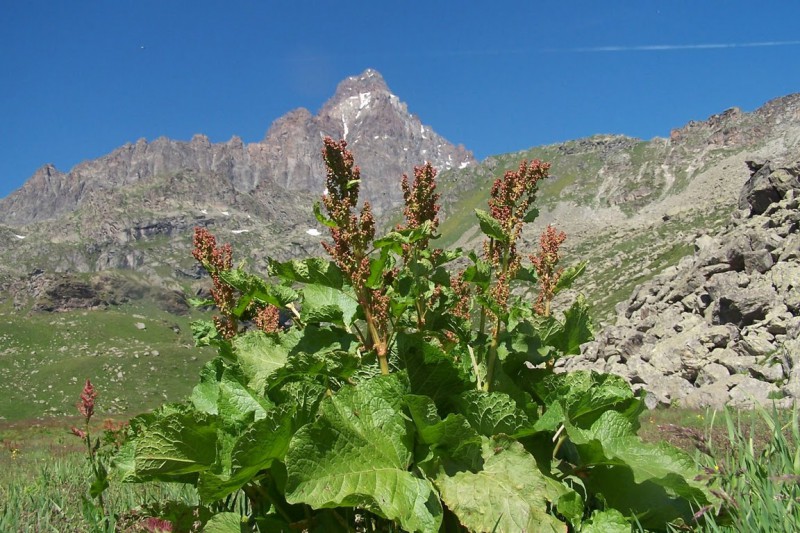 monviso dal rifugio alpetto - alpi cozie