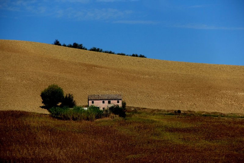 geometrie naturali 2