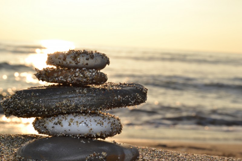 l'equilibrio della natura