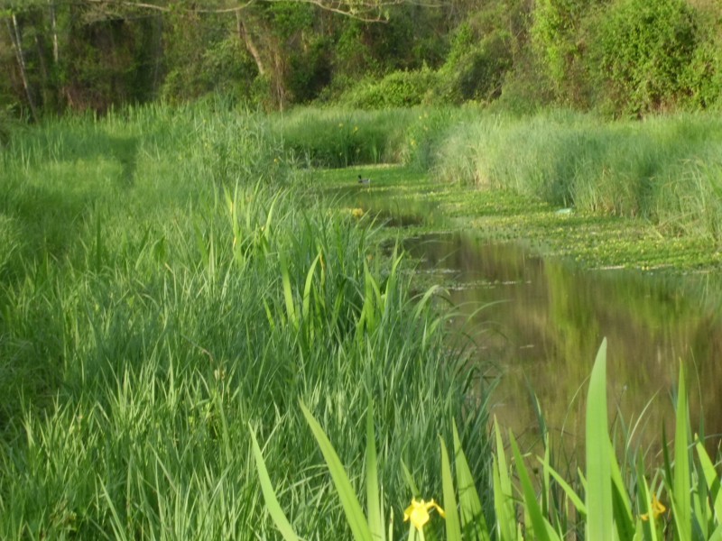 lago di porta