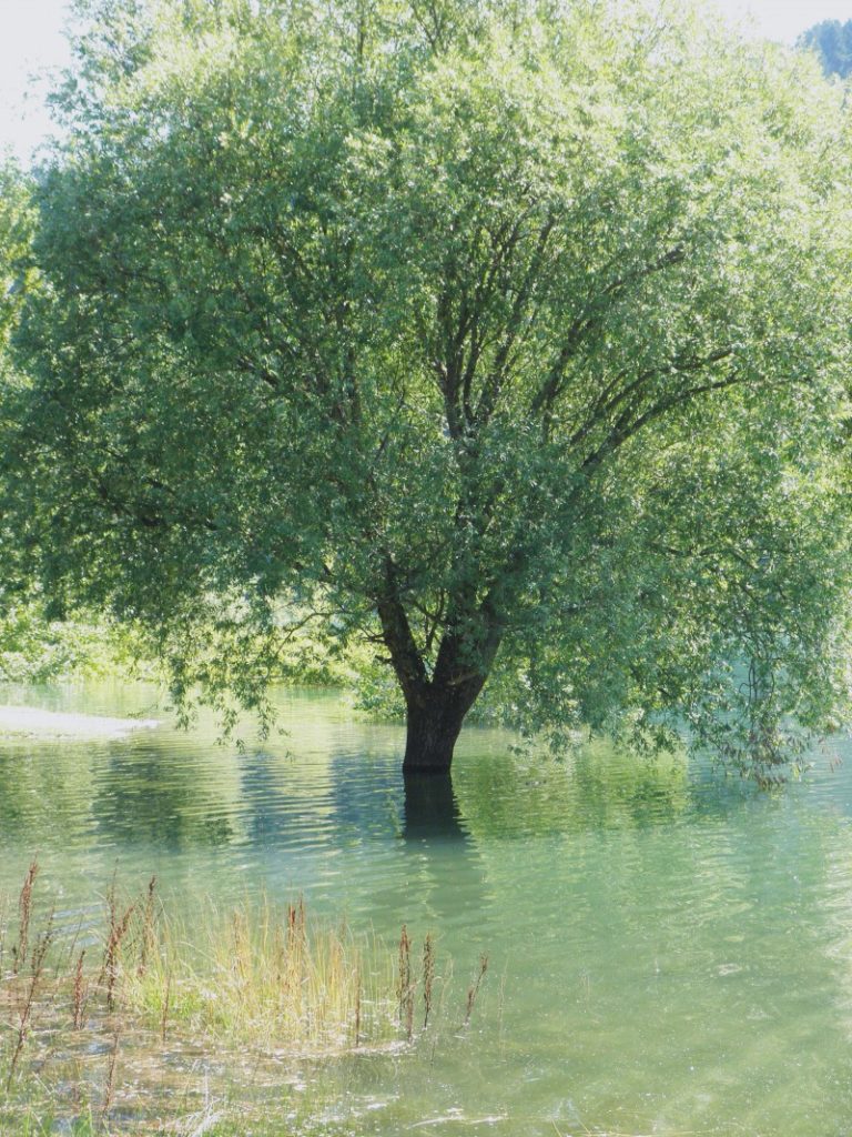 lago di gramolazzo