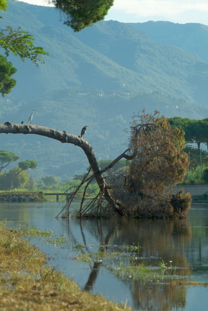 spavaldi e rassegnati 2