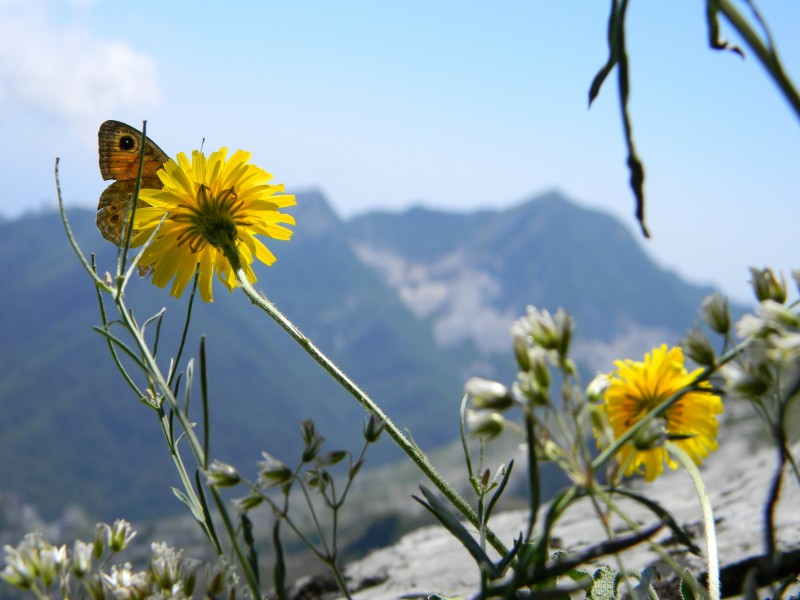 la bellezza dell'imperfezione e la leggerezza delle sensazioni