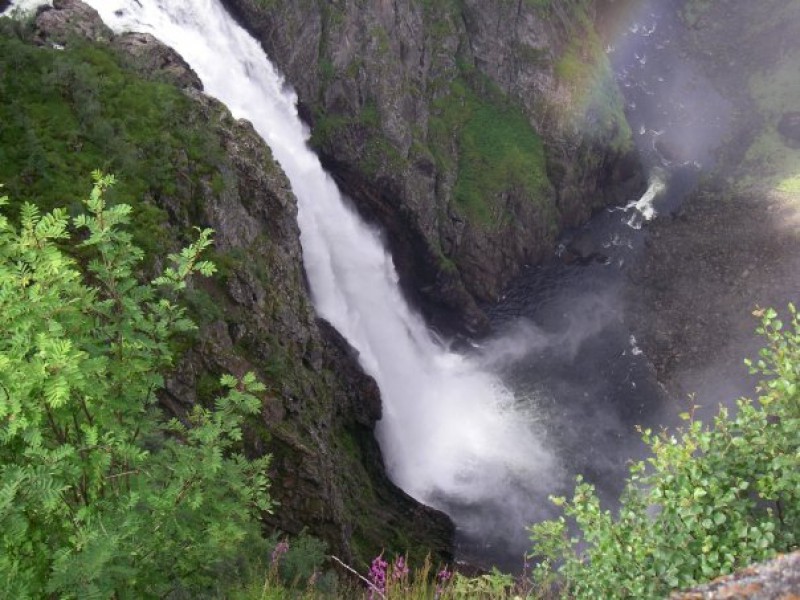 voeringfoss