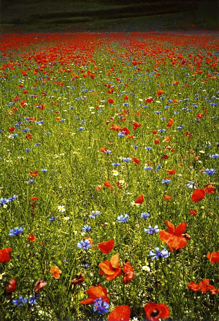 castelluccio n. 2