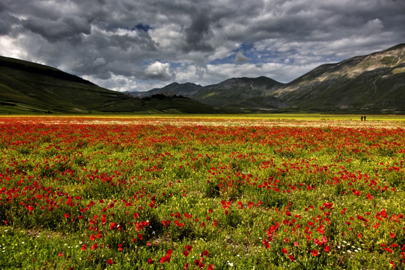 castelluccio