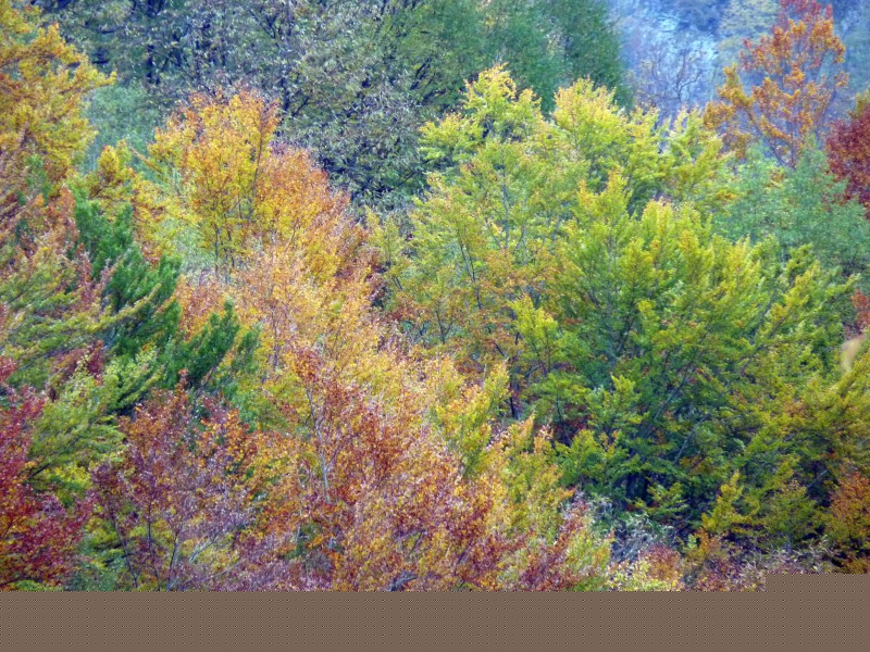 autunno