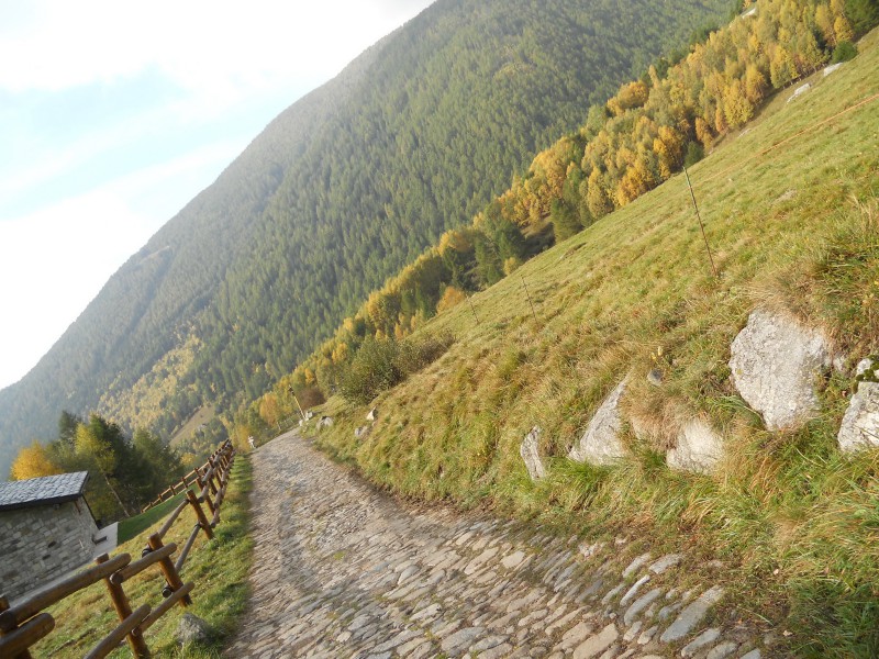strada in salita