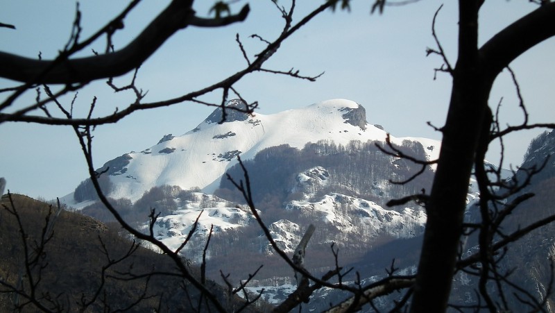 monte di glassa