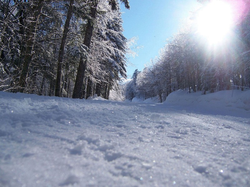 luce brillante e neve