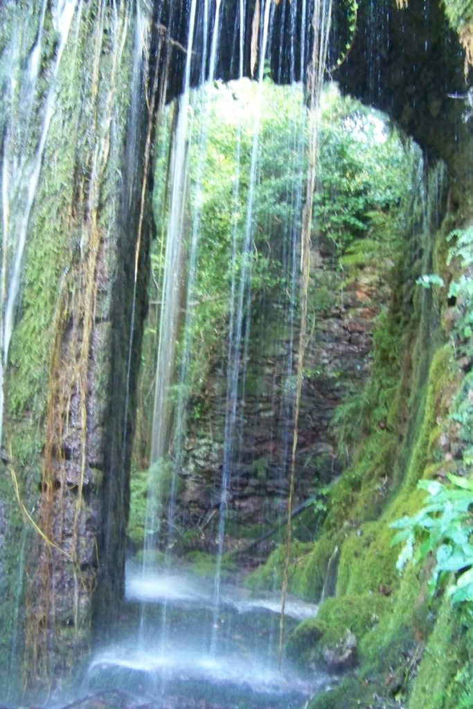 cascata di alghe naturale