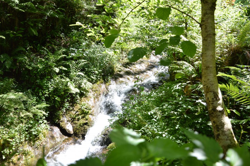 l'armonia della natura