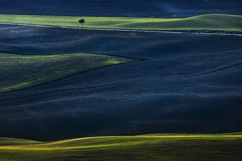 terre di toscana