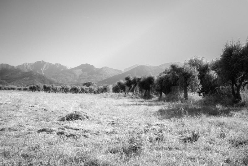 terra nostra