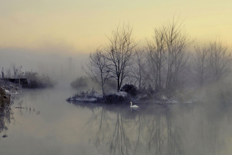 la poesia di un'alba