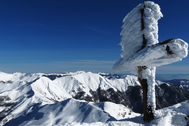 monte rondinaio